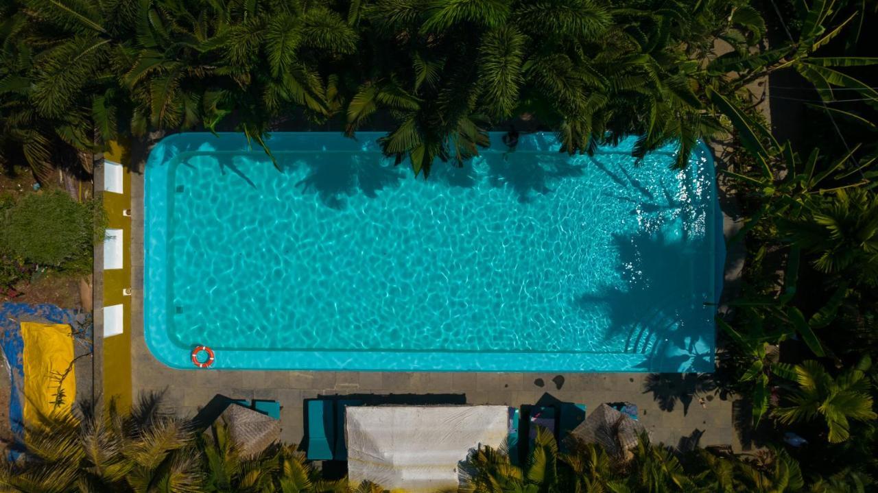 Resort Justa Goa - 80 Steps From Morjim